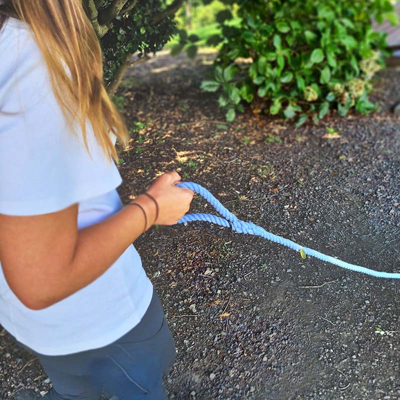 Ombre Rope Leash - Blue to green