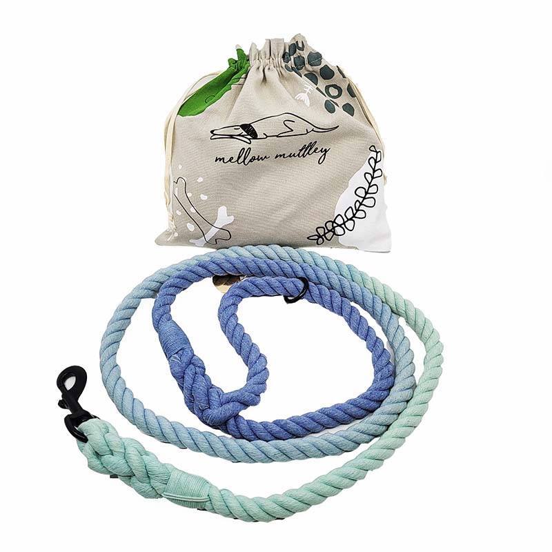 Ombre Rope Leash - Blue to green