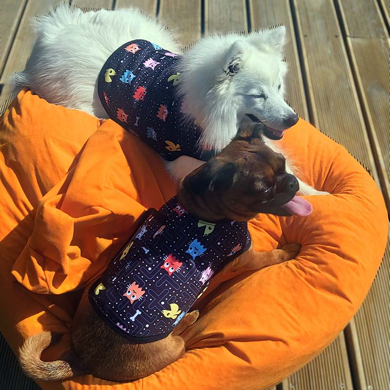 Cuddle Coat in Pac-dog