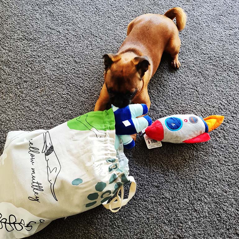 Space Cadet Doggie Toy Bag